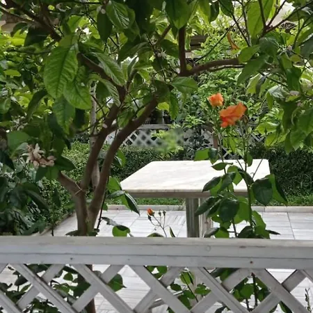 Fari Hotel 4*