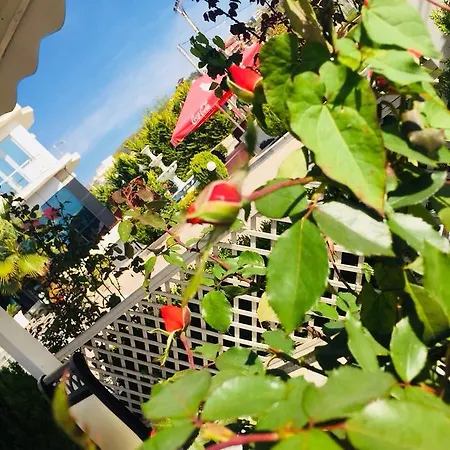 Hotel Fari Golem (Tirana)