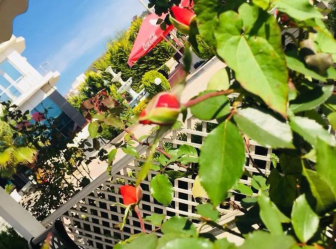 Hotel Fari Golem (Tirana)