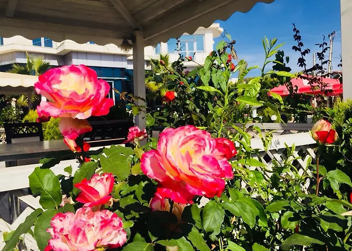 Fari 4* Golem (Tirana)